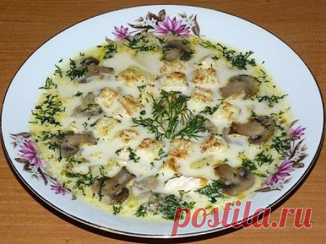 Сырный суп с грибами и курицей - ЖУРНАЛ СО ВКУСОМ