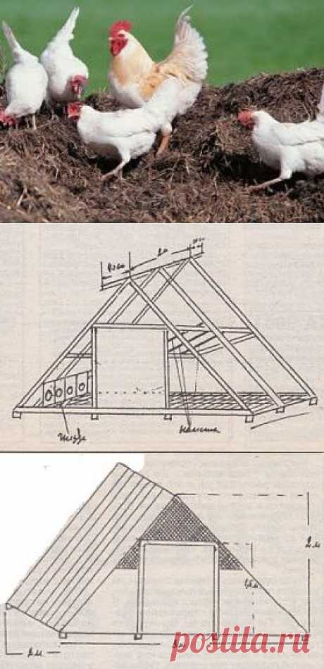 Летний домик для кур, строем сами!
