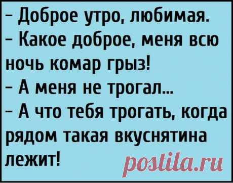 15+ жизненных анекдотов для отличного настроения