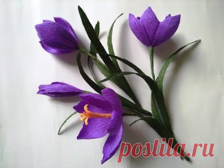DIY   How to make paper crocus/saffron flower - Hoa Nghệ Tây giấy nhún