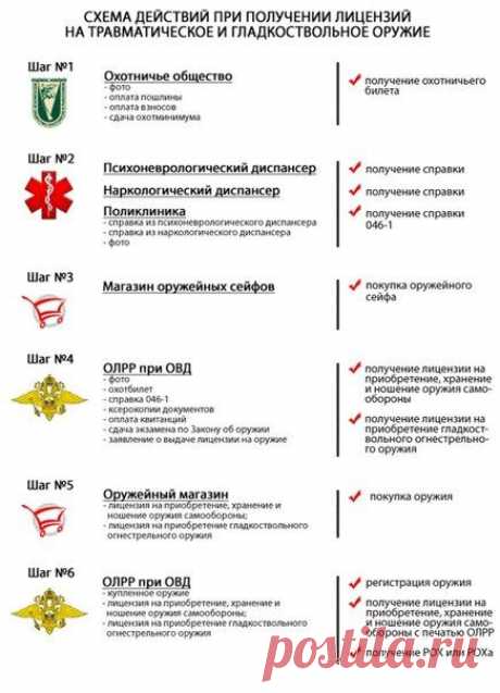 Схема действий при получении лицензий на травматическое и гладкоствольное оружие