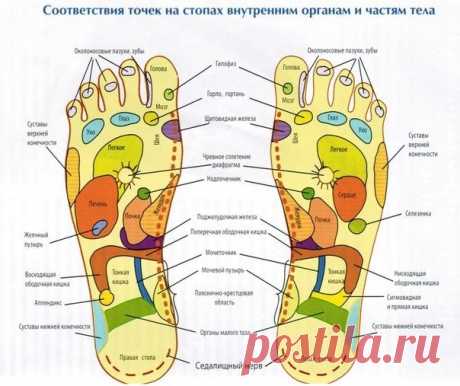 Соответствие точек на стопах органам и частям тела