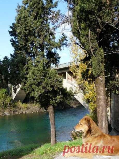 River Moracha-Podgorica