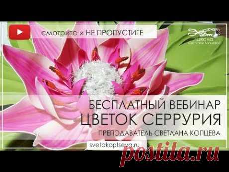 Вебинар Светланы Копцевой "Цветок Серрурия" #большиецветы
