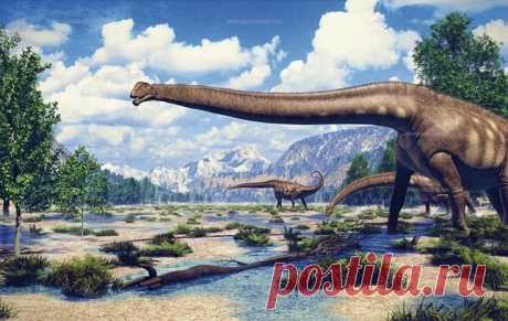 Титанозавр: Рост в 23 метра и вес в 30 тонн. Кольчуга на коже и ключица размером с человека. Как жил такой монстр? | Книга животных | Яндекс Дзен