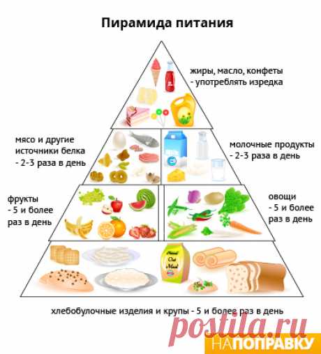 Геморрой: симптомы и лечение – НаПоправку – НаПоправку