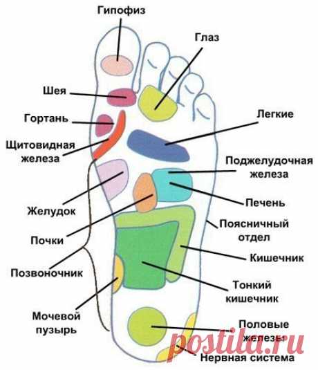 ЗДОРОВЬЕ ЧЕРЕЗ НОГИ

Индийские медики утверждают, что на ступнях ног располагаются точки, связанные со всеми органами человека, - следовательно, ухаживая за ногами, можно оздоровить весь организм

ТОНИЗИРУЮЩАЯ ВАННОЧКА
Показать полностью…