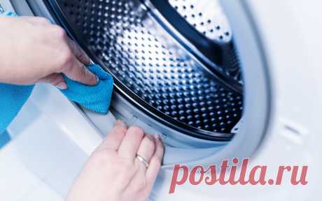 Как почистить стиральную машину: все эффективные способы