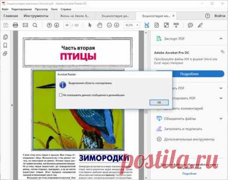 Как вытащить картинку из PDF — 5 способов