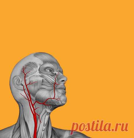 Как определить дефицит основных витаминов в организме / Будьте здоровы