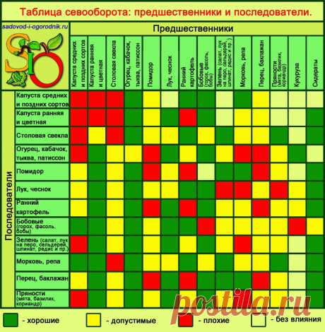 Севооборот овощных культур: таблица, предшественники овощей, организация чередования на даче