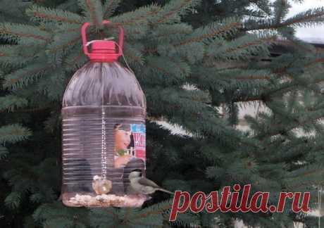 21 вариант использования пластиковых бутылок на даче / 7dach.ru