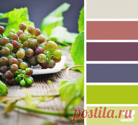 Design Seeds® | find your palette