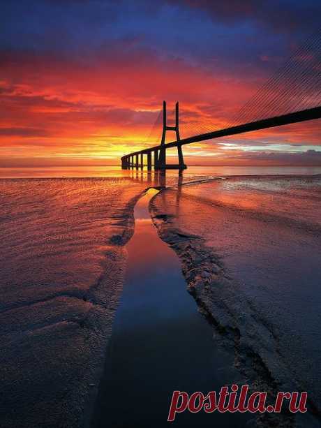 ~ sunrise, Vasco Da Gama Bridge, Lisbon, Portugal by CResende~~ |  Karen van Dijl приколол(а) это к доске Sunrise