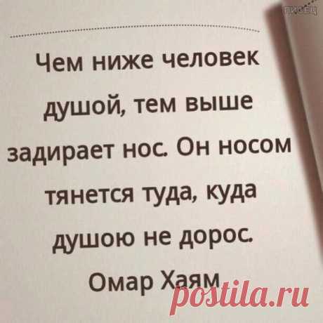 Ну как же всё в точку! Офигенно! / Писец - приколы интернета