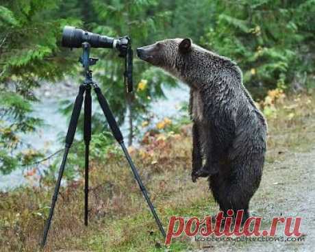 Интересно, где фотограф?