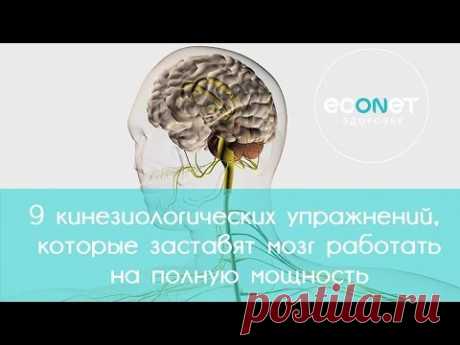 9 кинезиологических упражнений заставят мозг работать на полную мощность | Econet.ru - YouTube