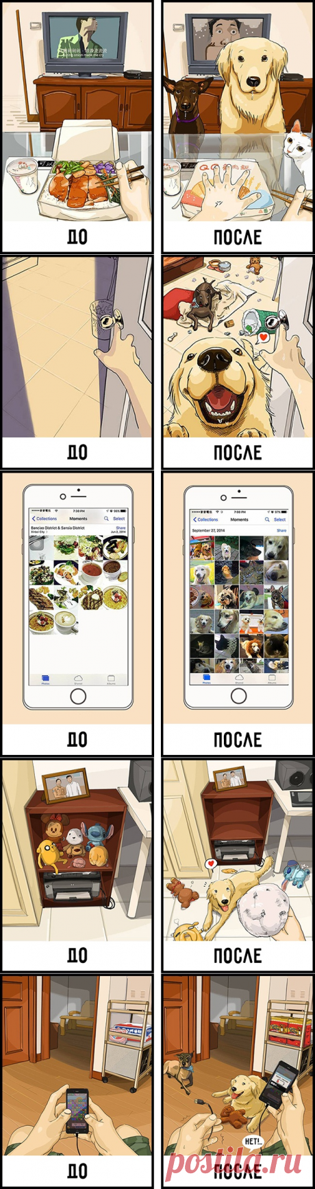 Жизнь до и после появления собаки в доме