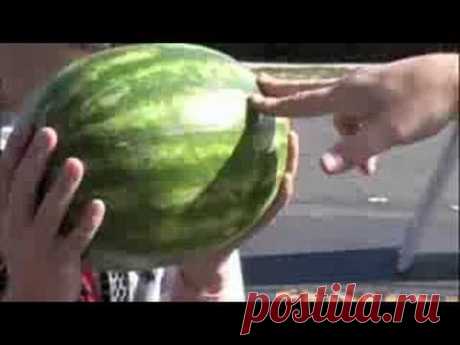 The Kung-Fu Watermelon Challenge