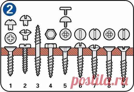 Классификация шурупов

1. Шурупы для дерева 
- Головка: утапливаемая полукруглая
- Тип головки: PZ/PH/Torx 
- Используется для: общих работ по дереву

2. Шуруп для листового металла
- Головка: цилиндрическая – овальная - круглая
- Тип головки: шлиц
- Используется для: крепления тонких листов металла или пластика. Эти шурупы являются самонарезными.

3. Резьбовой нагель (шуруп с нарезкой на двух концах) 
- Головка: резьба под дерево (метрическая) 
- Тип головки: шуруп с наре...