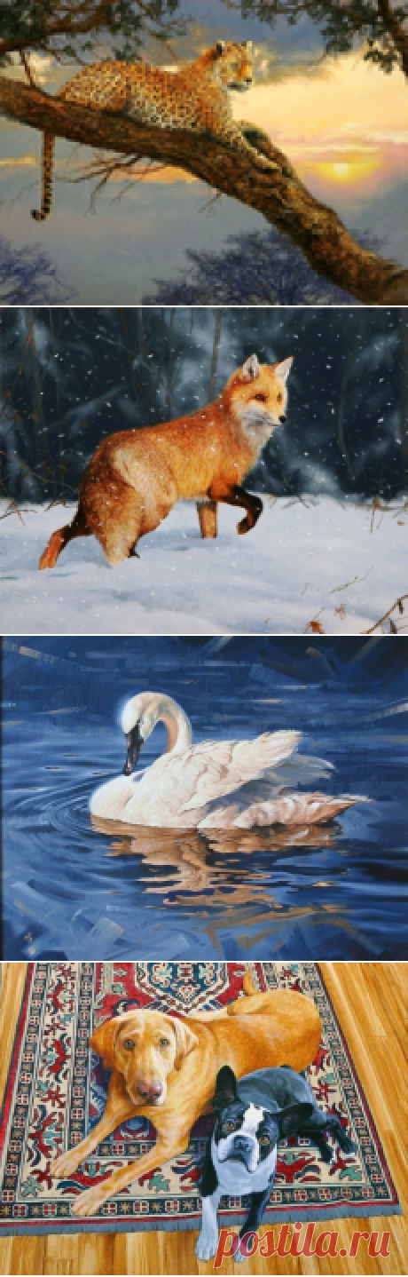 Животные дикого мира художника Mark Kelso