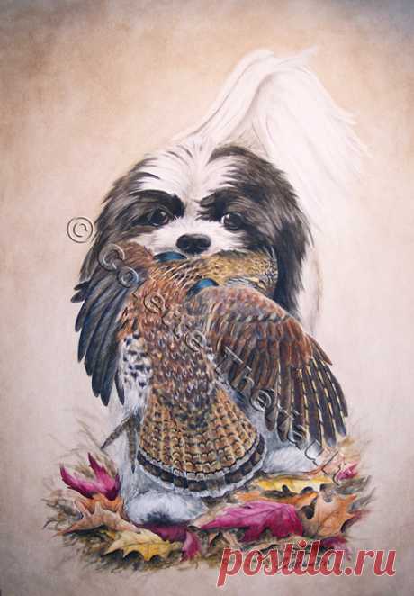 Ши-тцу собака живопись-портреты домашних животных рисунок на заказ графитовый карандаш портреты домашних животных-памятный подарок для домашних животных