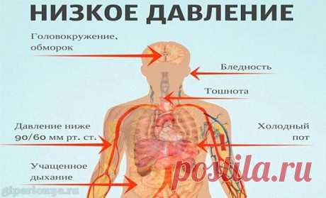 НИЗКОЕ ДАВЛЕНИЕ. СОВЕТЫ НА КАЖДЫЙ ДЕНЬ. 
 
- Гипотоники очень любят поспать. И если в среднем человеку необходимо 6-8 часов сна, то тем, у кого давление «в минус» 9-12 часов - в самый раз. Их часто называют «сони, лентяи», а на самом деле долго спать и «лениться» по утрам - физиологическая потребность их организма. 
 
Вот несколько простых, но важных рекомендаций, которые помогут ощущать себя комфортней и бодрее уже с утра: никогда не вставайте резко; 
 
после пробуждения ...