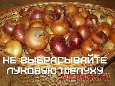 НЕ ВЫБРАСЫВАЙТЕ ЛУКОВУЮ ШЕЛУХУ! | OK.RU