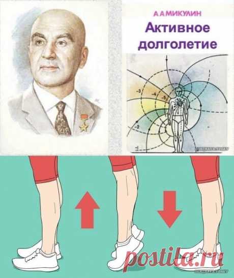 Как пользоваться дополнительными лапками