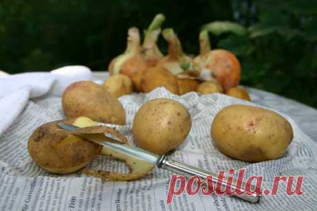 Как похудеть с помощью любимой картошки. Разгрузочный картофельный день. В чем польза картошки читайте в статье https://nutsworld.ru/poleznye-svojstva-i-vred/mozhno-..