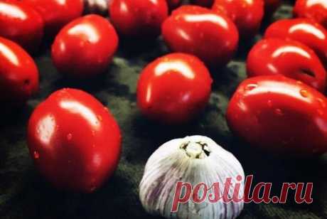 Вяленые томаты с базиликам и чесноком рецепт – европейская кухня: заготовки. «Еда»