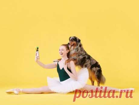 Артисты балета и собаки в необычной фотосессии: красивые кадры танцующих животных и людей