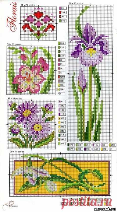 Схема для вышивки крестом. - Цветы - Каталог статей - Бесплатные схемы для вышивки крестом