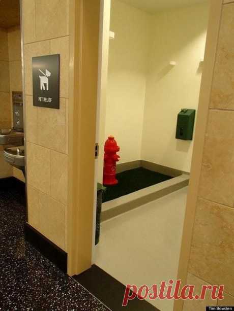 Сумеречная зона: Самые дурацкие фотографии, когда-либо сделанные в аэропортах | TooCool2BeTrue  Это туалет для домашних животных в аэропорту Сан-Диего