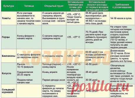 СРОКИ ПОСЕВА ТОМАТОВ, ПЕРЦЕВ, БАКЛАЖАНОВ И КАПУСТЫ:

Ранние сроки посадки семян также вредны как и поздние.

Таблица оптимальных посадок семян овощей на рассаду

(тем более рассчитать сроки совсем не сложно для жителя любой климатической зоны):