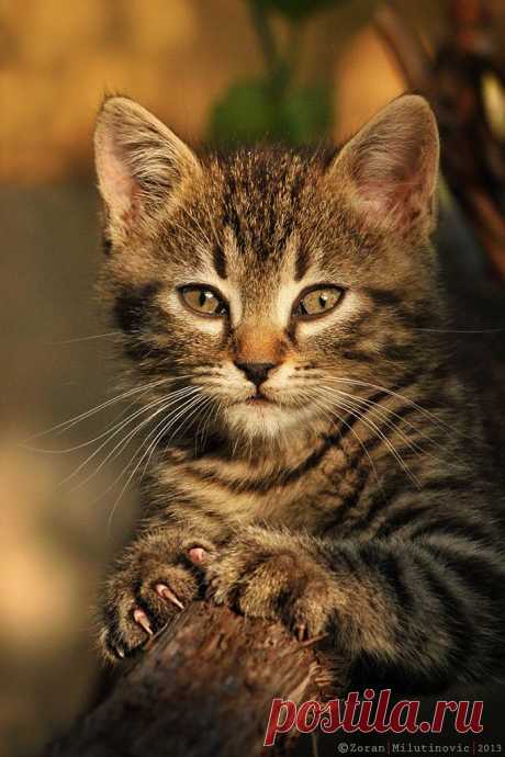 500px / Sunbathing by Zoran Milutinovic