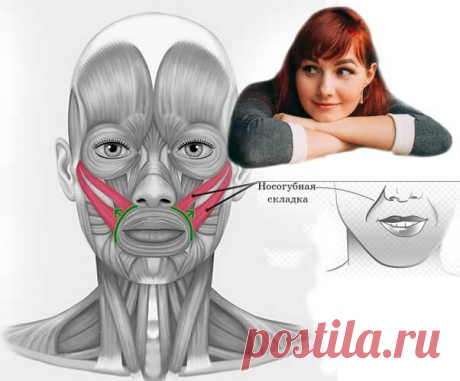 Убираем носогубку дома. Показываю мини тренировку на видео | Молодость без уколов | Яндекс Дзен