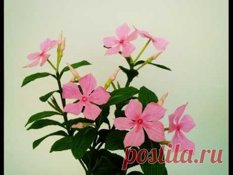 How To Make Catharanthus Roseus Flower From Crepe Paper - Craft Tutorial