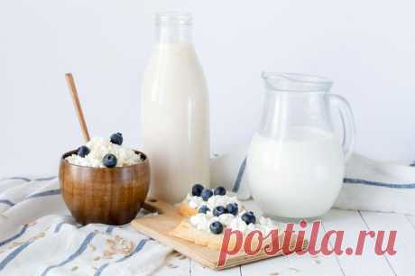 Молочные продукты: вред и польза, влияние на организм
