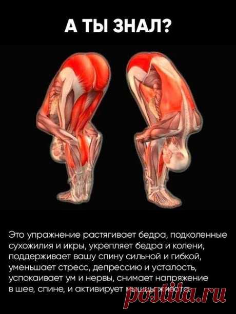 Хочешь жить дольше? Чаще наклоняйся!  
 
Поясничная мышца — это самая глубокая мышца человеческого тела, влияющая на наш структурный баланс, мышечную интеграцию, гибкость, силу, диапазон движений, подвижность суставов и функционирование органов.  
 
«Мышца души» находится в теле вовсе не в груди, как можно предположить, а в области таза. Стрессы современной жизни закрепощают ее, порождая проблемы со здоровьем.  
 
Влияние образа жизни на здоровье  
 
В даосской традиции по...