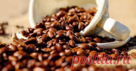 Кофе спасает от старческого слабоумия Чем сильнее обжарены кофейные зерна, тем надежнее защита от болезней Альцгеймера и Паркинсона.