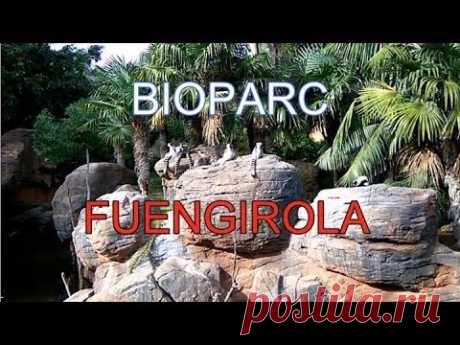 Биопарк Фуэнхирола Bioparc Fuengirola Самый лучший отдых в Испании