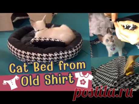 DIY Cat bed from old shirt