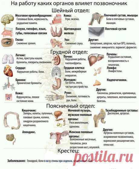 Столб жизни