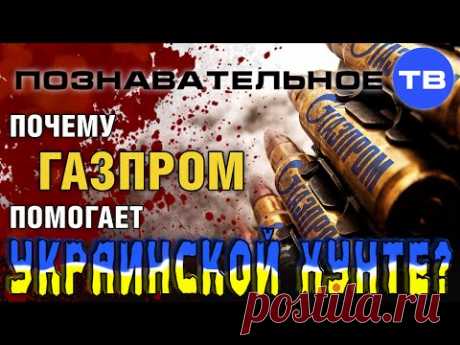 Евгений Фёдоров: Почему Газпром помогает украинской хунте? | Познавательное ТВ