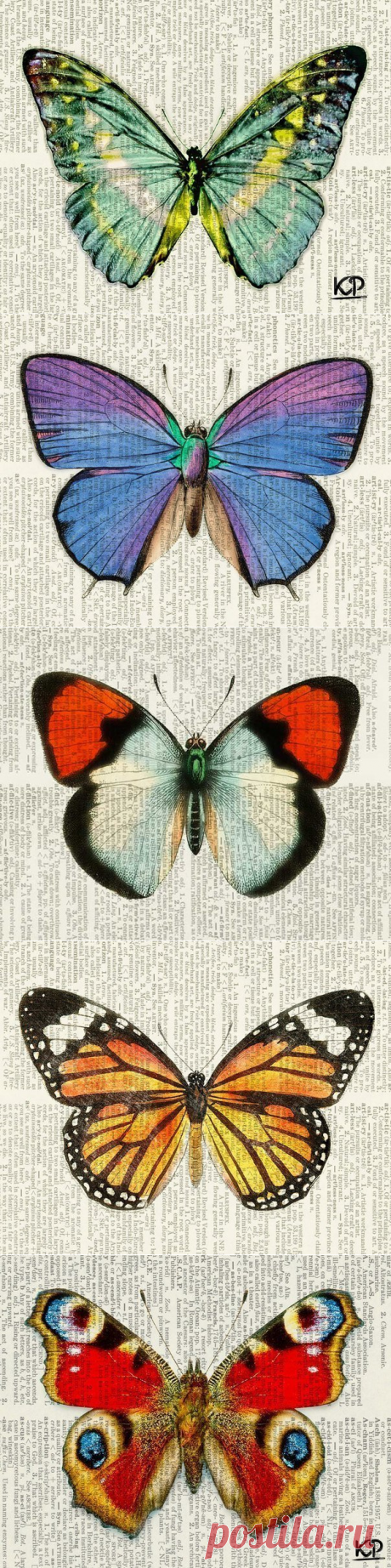 Бабочки / Рукоделие