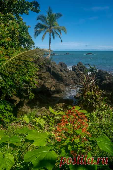 breathtakingdestinations:
“Chocó - Colombia (by Serge)
”