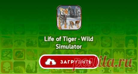Life of Tiger - Wild Simulator