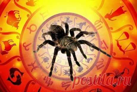 Славянский гороскоп на 2020 год: что нам приготовил Прядущий Мизгирь В день весеннего равноденствия Парящего Орла сменит на посту паук.
