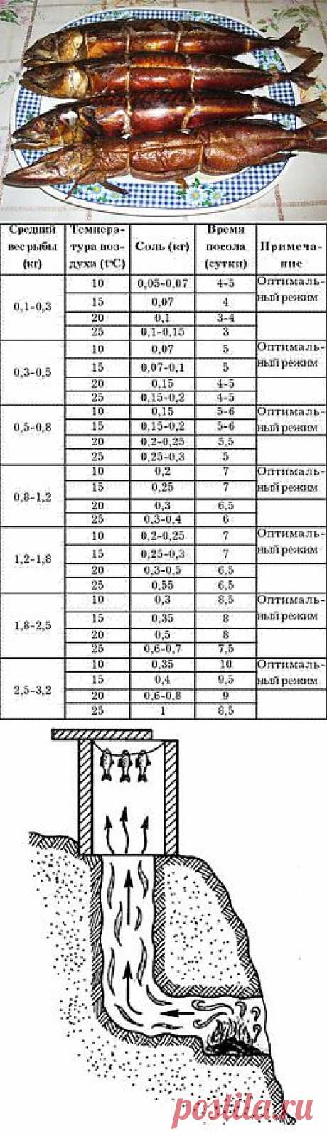 Копчение рыбы, горячее копчение рыбы, холодное копчение рыбы, посол рыбы